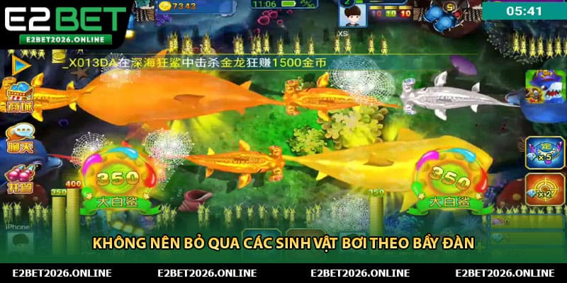 Không nên bỏ qua các sinh vật bơi theo bầy đàn